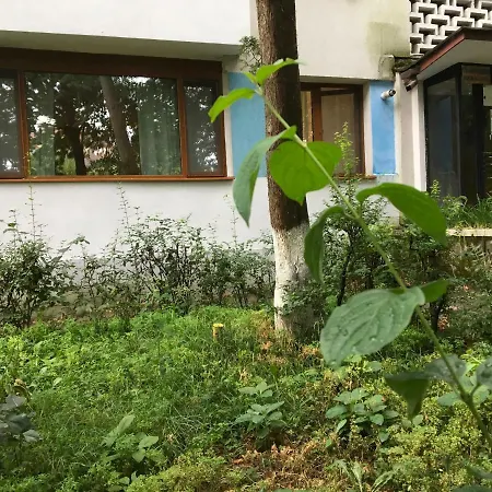 Peles Green Apartment 10 Min Walk To Untold 아파트 *