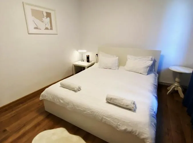 Peles Lägenhet Cluj-Napoca